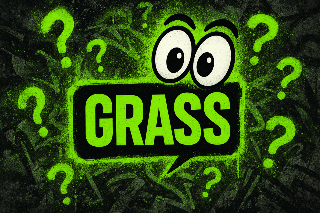 Descubre $GRASS: DePIN que Monetiza tu Internet